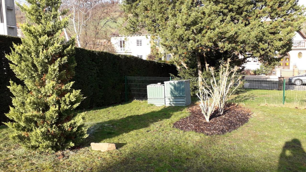 Villa/Appartement au coeur des vignes *** Barr Extérieur photo