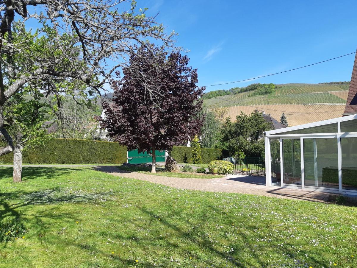 Villa/Appartement au coeur des vignes *** Barr Extérieur photo