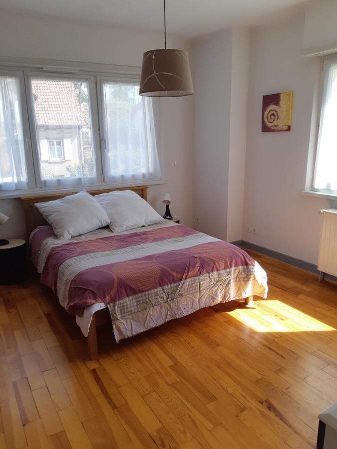 Villa/Appartement au coeur des vignes *** Barr Extérieur photo